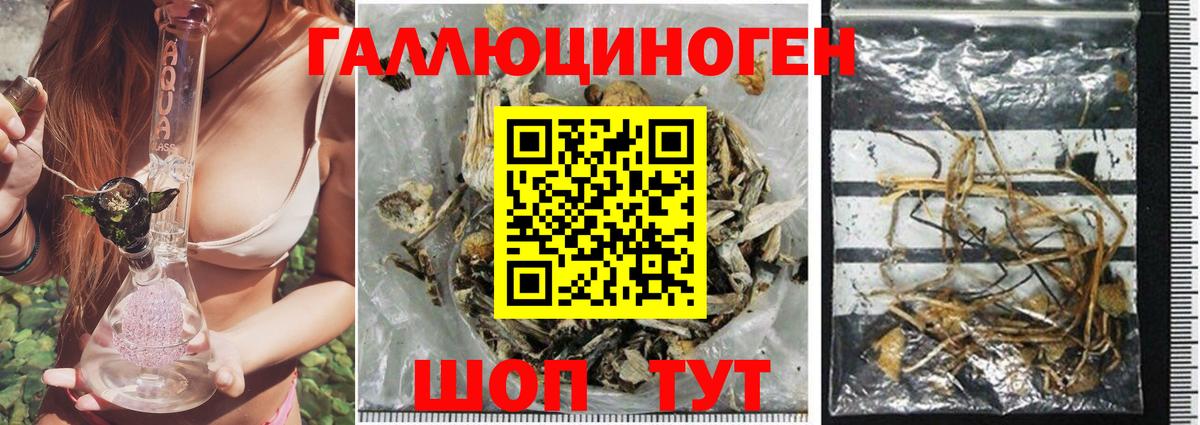 Галлюциногенные грибы мицелий  Галлюциногенные грибы Cubensis  купить наркотики сайты  Вход с VPN  Минусинск 