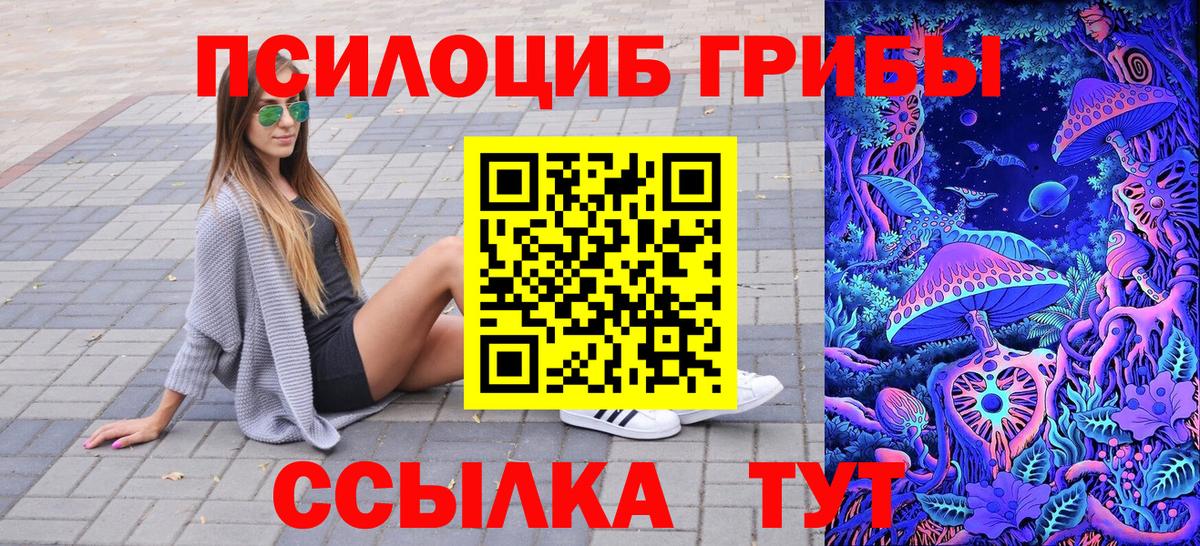 Галлюциногенные грибы Cubensis Минусинск